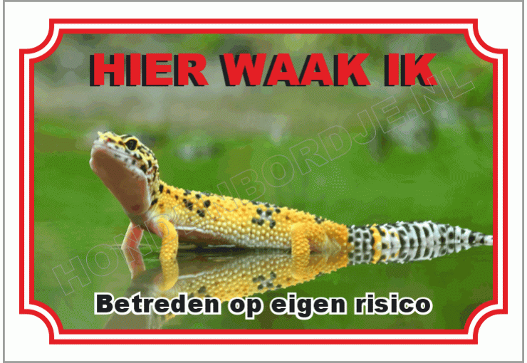 Gekko