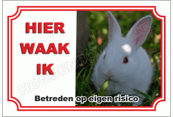 Wit konijn