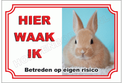 Licht bruin konijn