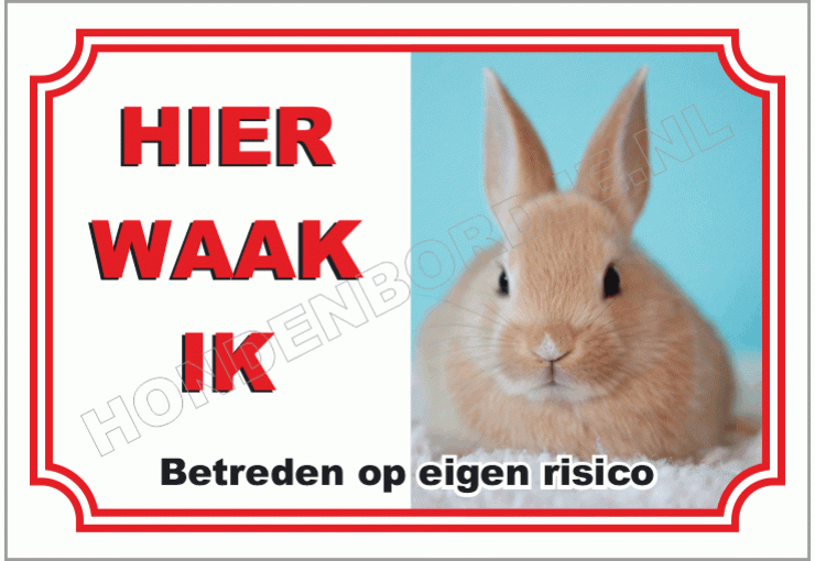Licht bruin konijn