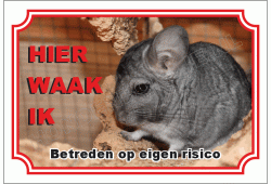 Chinchilla