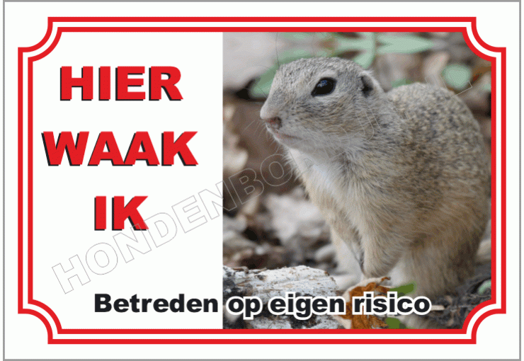 Grondeekhoorn