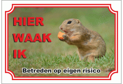 Siberische grondeekhoorn