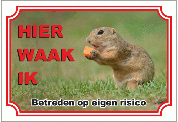 Siberische grondeekhoorn