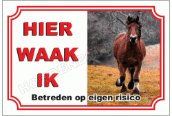 Belgisch paard