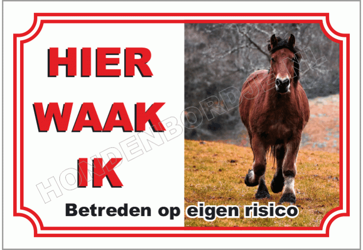 Belgisch paard