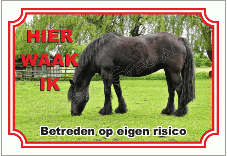 Frys paard
