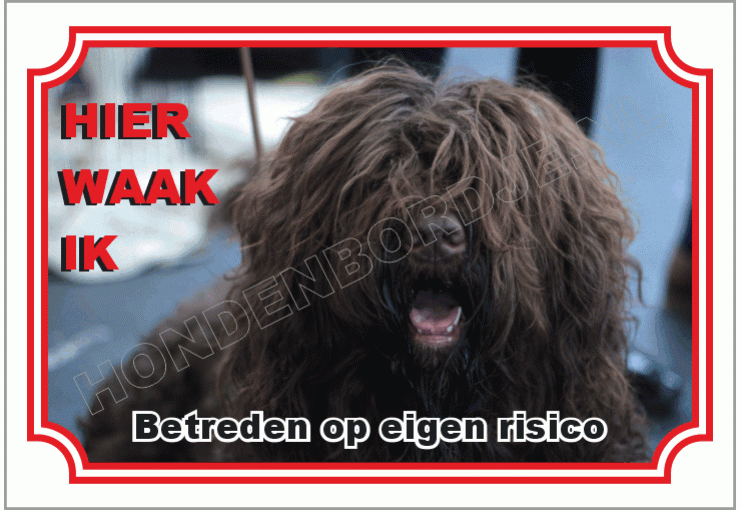 Barbet