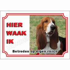 Basset hound bruin
