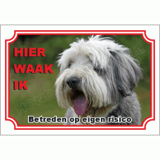 Bearded collie