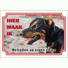 Beauceron