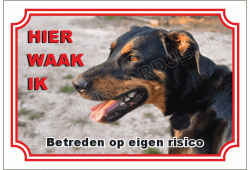 Beauceron