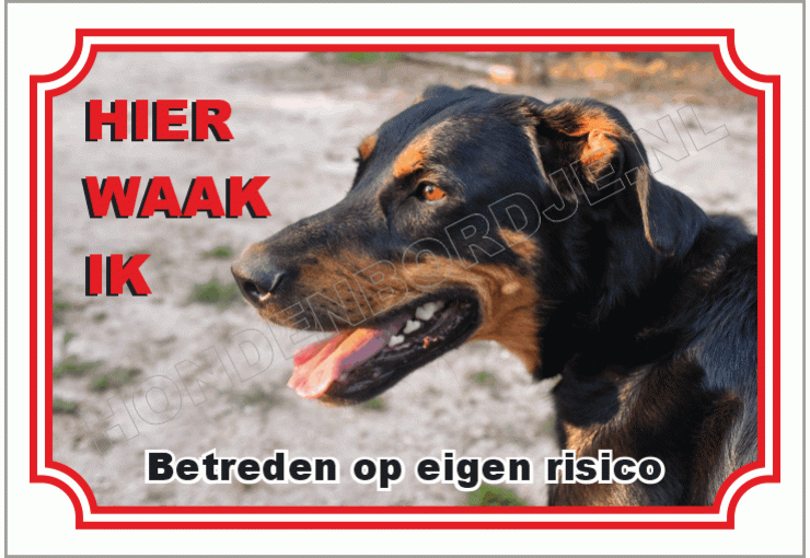 Beauceron