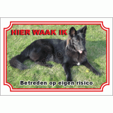 Belgische herdershond, groenendaeler
