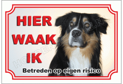 Australische herder