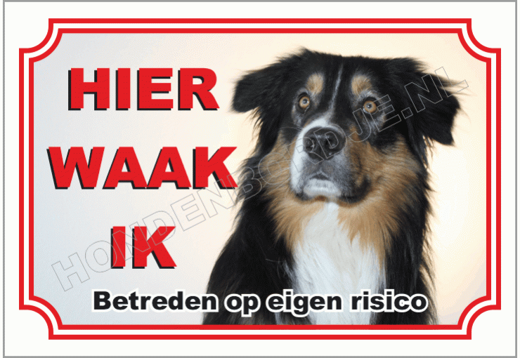 Australische herder