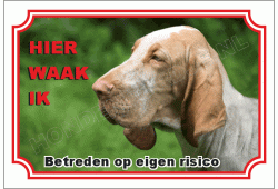 Bloedhond