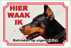 Doberman