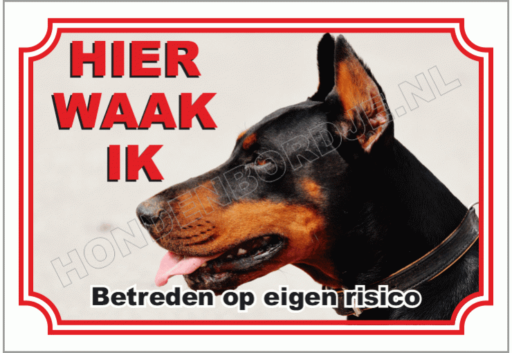 Doberman