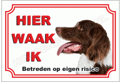 Drentsche patrijshond