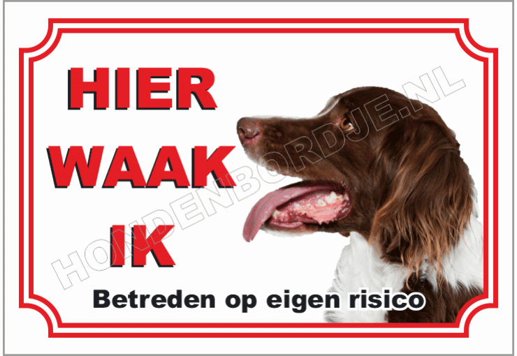 Drentsche patrijshond
