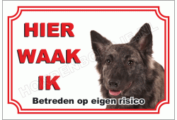 Hollandse herder