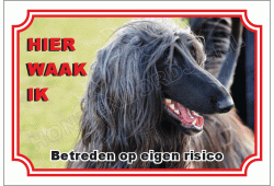 Afghaanse windhond zwart