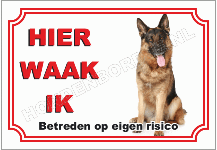 Duitse herder