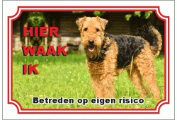 Airedale terrier