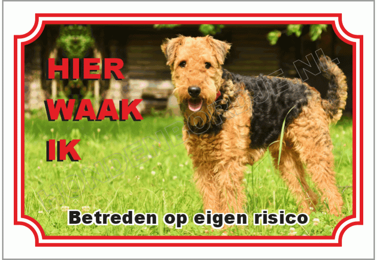 Airedale terrier