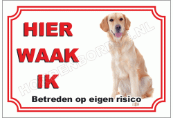 Golden retriever