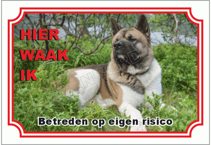 Akita