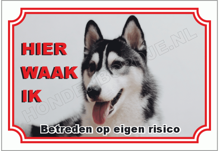 Alaska malamute