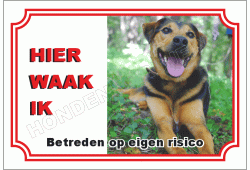 Appenzeller sennenhond