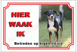 Appenzeller sennenhond