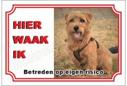 Cairn terrier