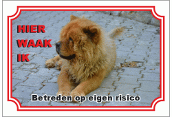 Chow chow