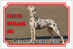 Dalmatische hond