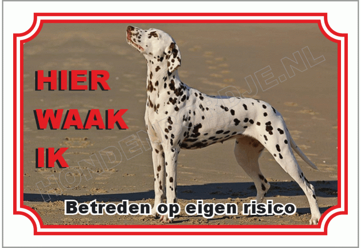 Dalmatische hond