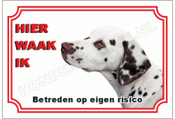 Dalmatische