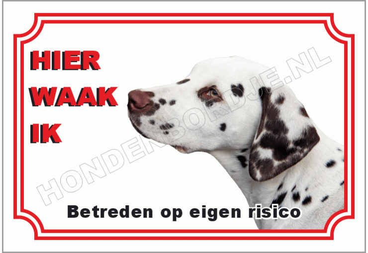 Dalmatische
