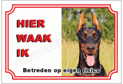 Dobermann