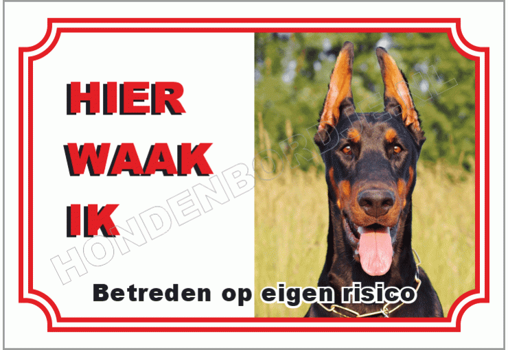 Dobermann