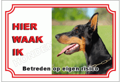 Dobermann