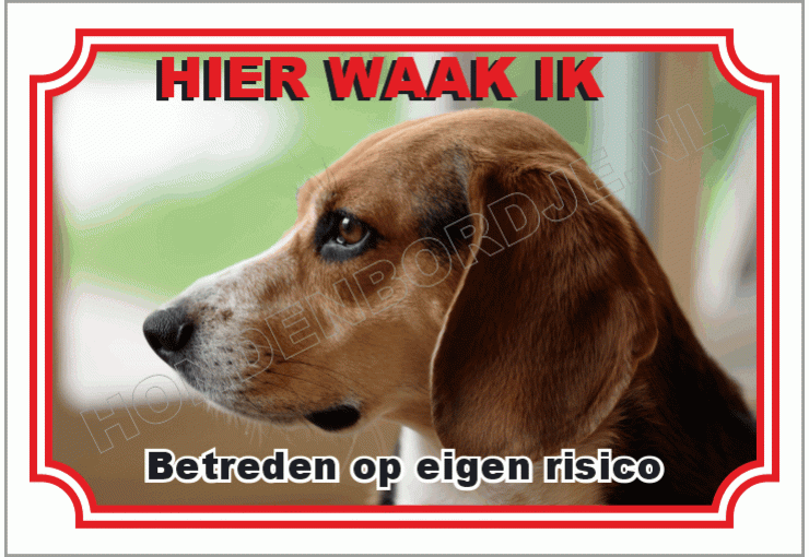 Duitse brak