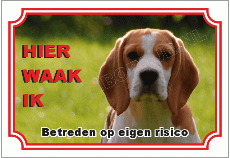 Duitse brak