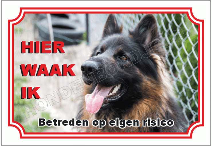 Duitse herdershond langstok haar