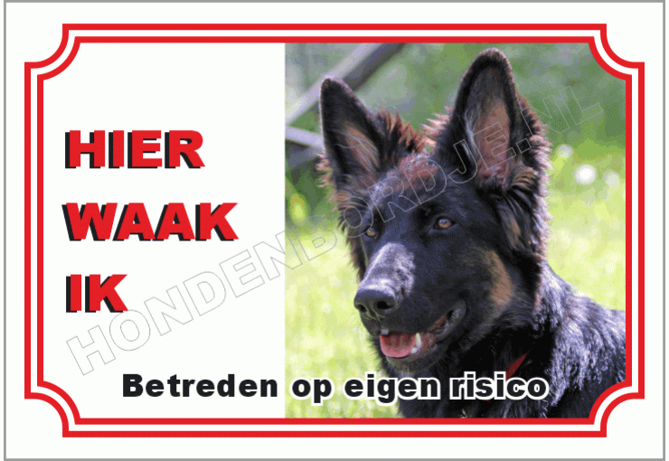 Duitse herdershond stok haar