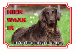 Duitse staande hond langhaar