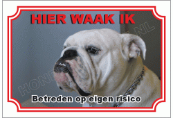 Engelse bulldog